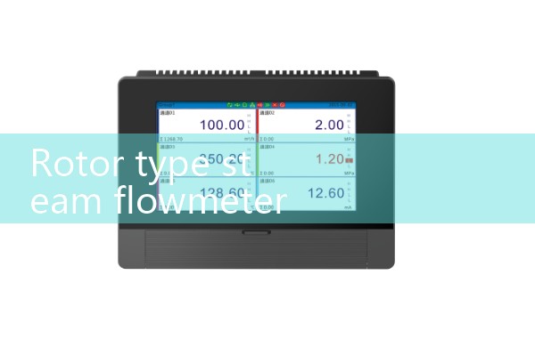 Rotary turbine steam flowmeter